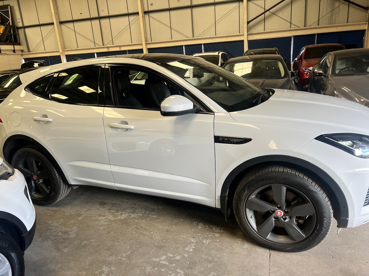 The JAGUAR Looked Good, But the Missing Service Records Did Not