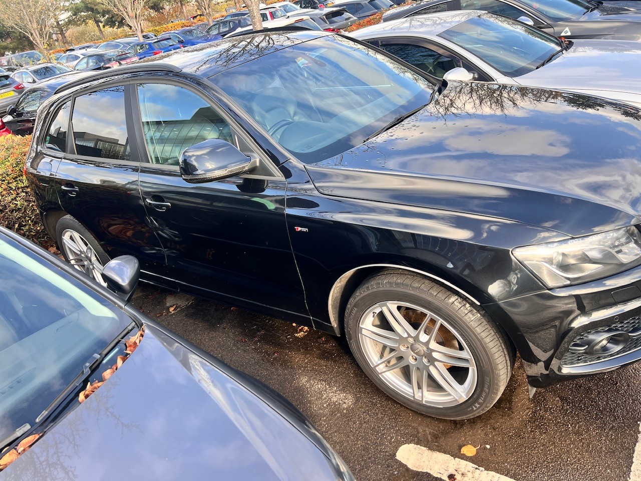 Before Buying the AUDI, the Buyer Wanted the Facts